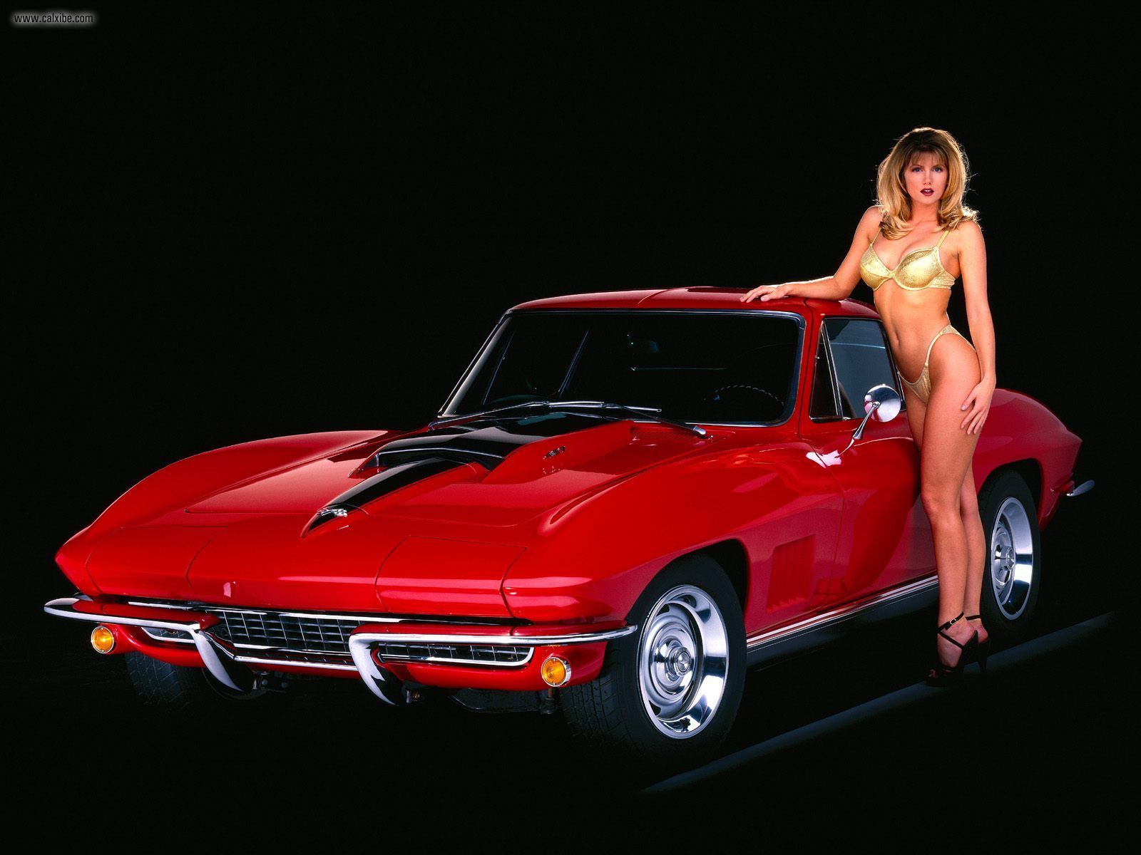 Corvette Stingray    on Muscle Car Hall Of Fame  1967 Corvette   First In